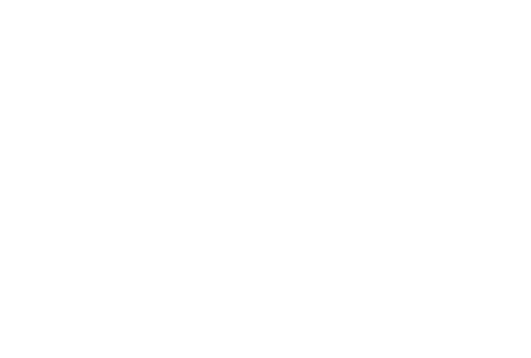 Online Avenue Holdings